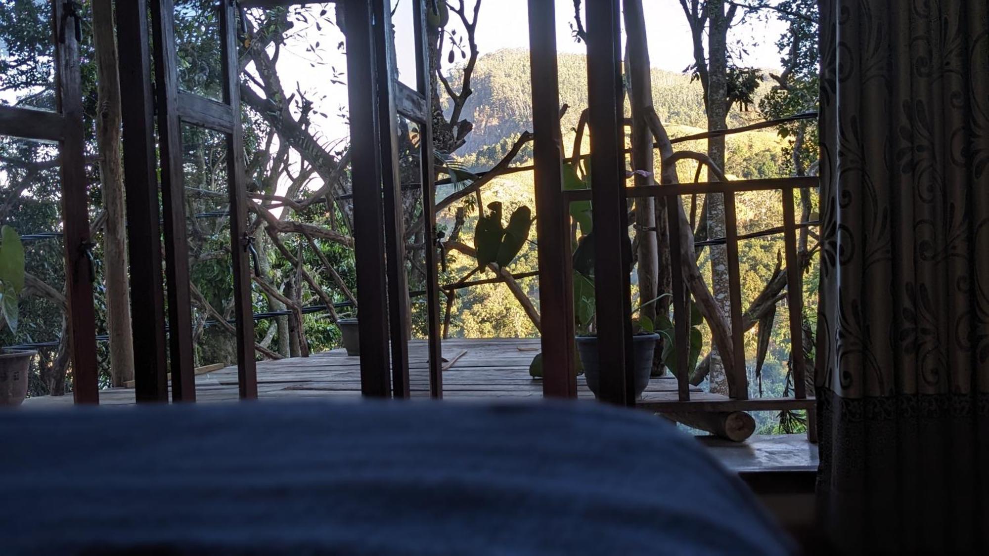 Ella Nature Nest Zimmer foto